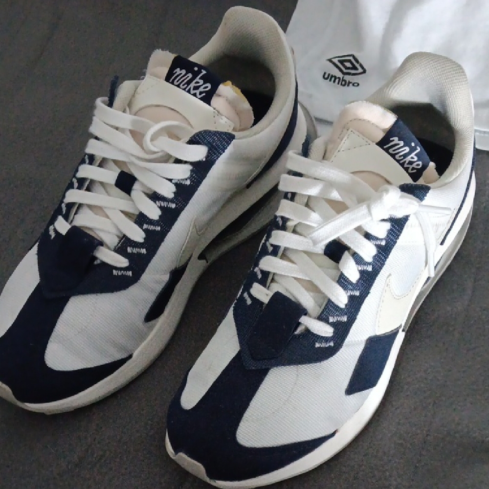 Nike AIR max Pre Day- Blue and White Sneakers with Sleek Design